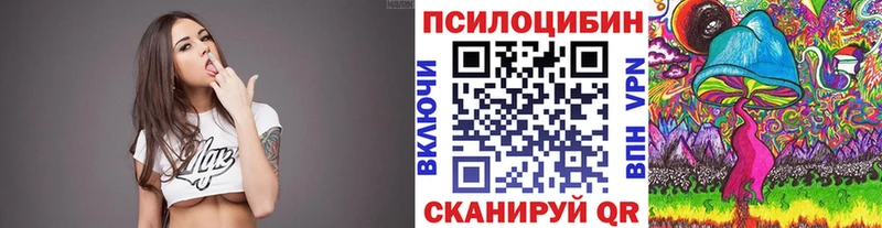 Купить  Нижняя Салда  Псилоцибиновые грибы Psilocybine cubensis 